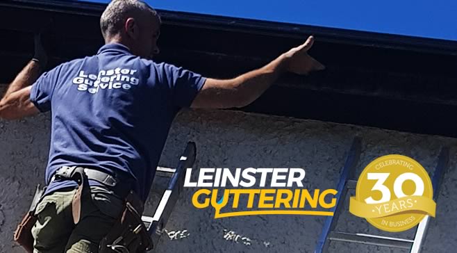 Gutter Repairs Dublin